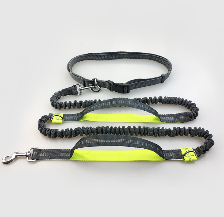 Multi-Function Running Reflective Double Elastic Dog Leash