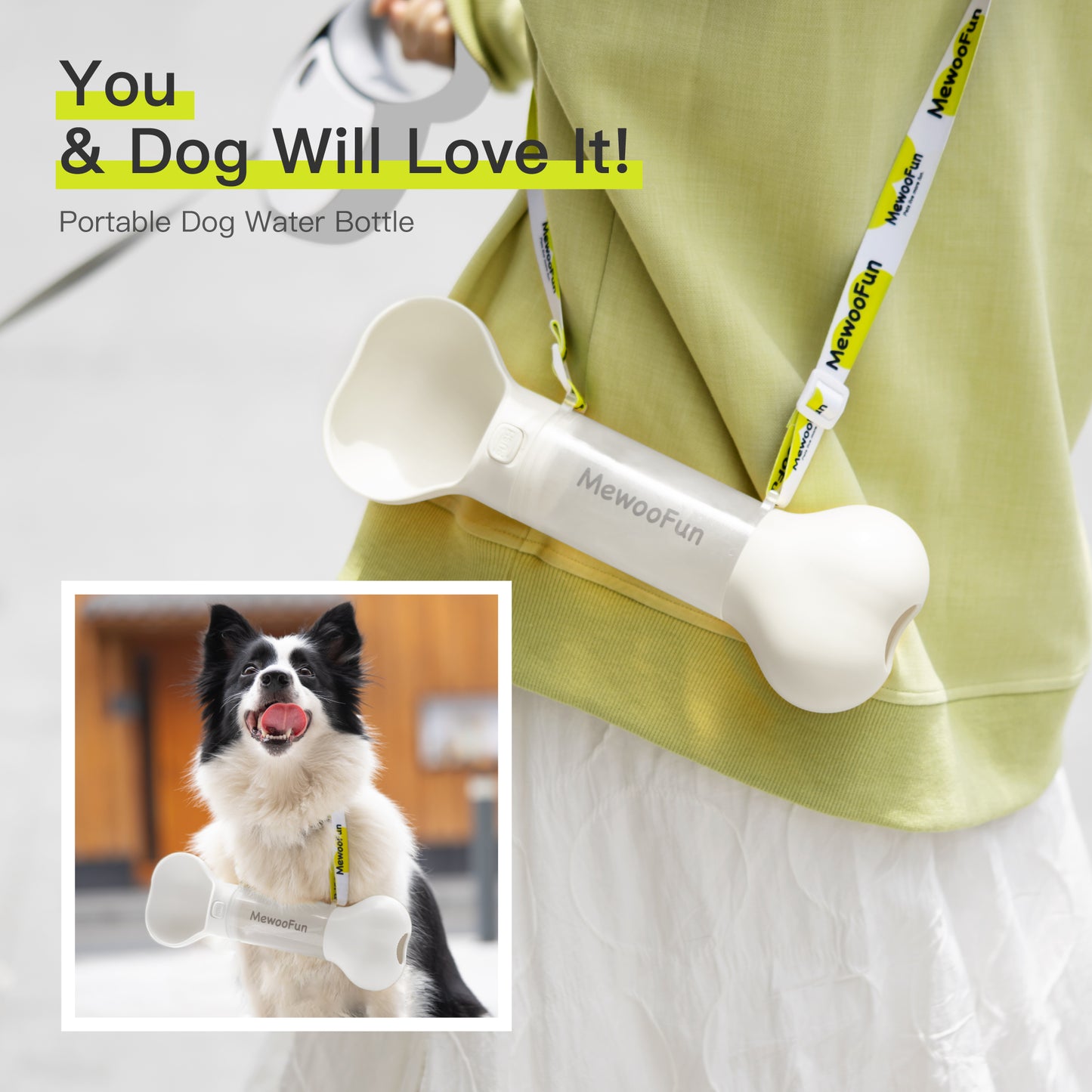 Pet Water Bottle/Feeder Bowl With Waste Bag Compartment