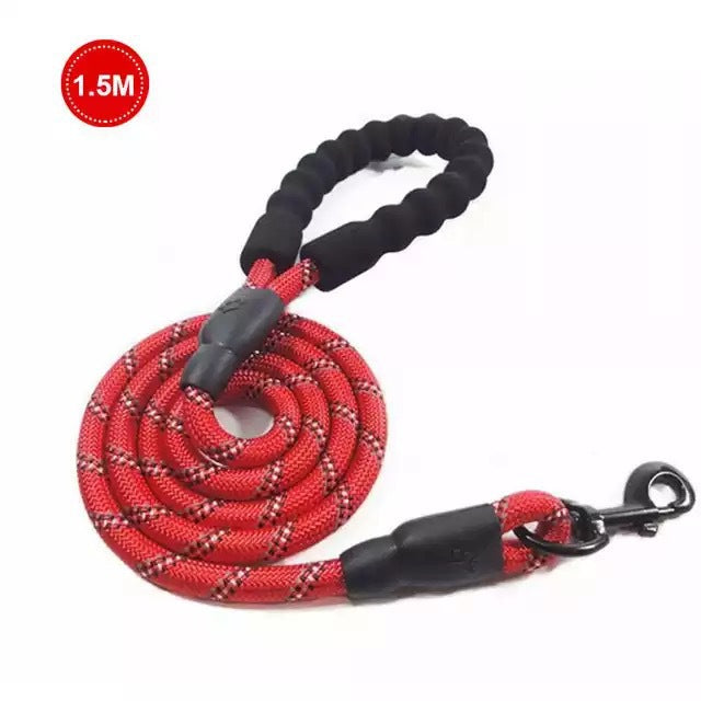 Small & Medium Sized Dog Luminous Leash