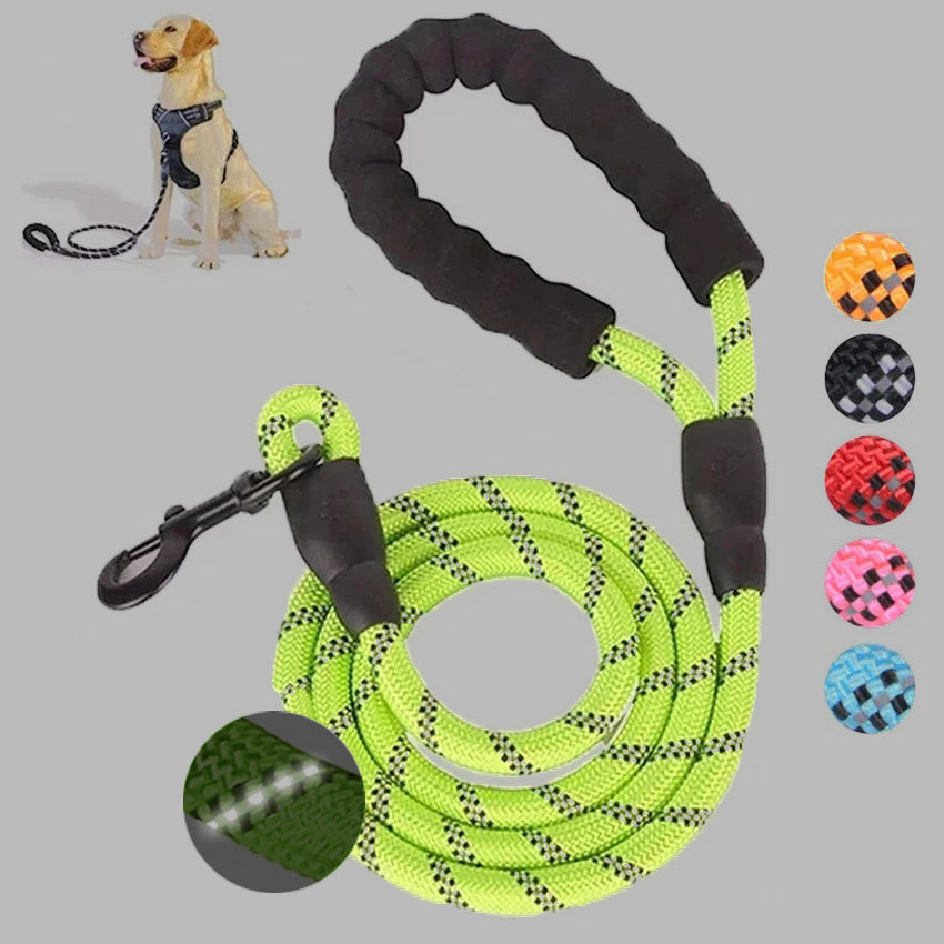 Small & Medium Sized Dog Luminous Leash
