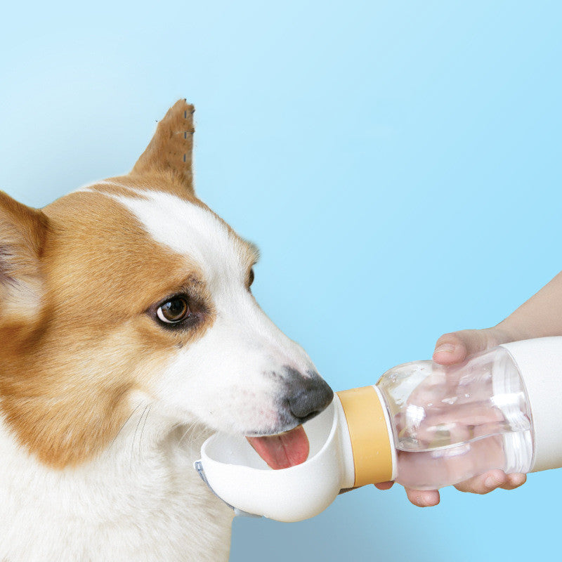 Dog Water Bottle