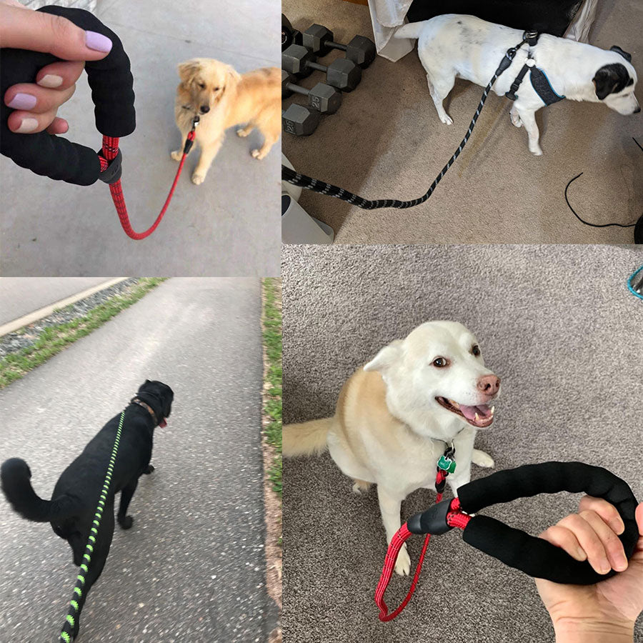 Small & Medium Sized Dog Luminous Leash