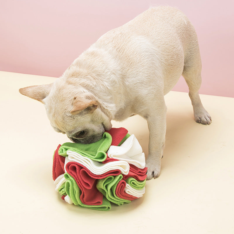 Dog Blanket Snuffle Ball