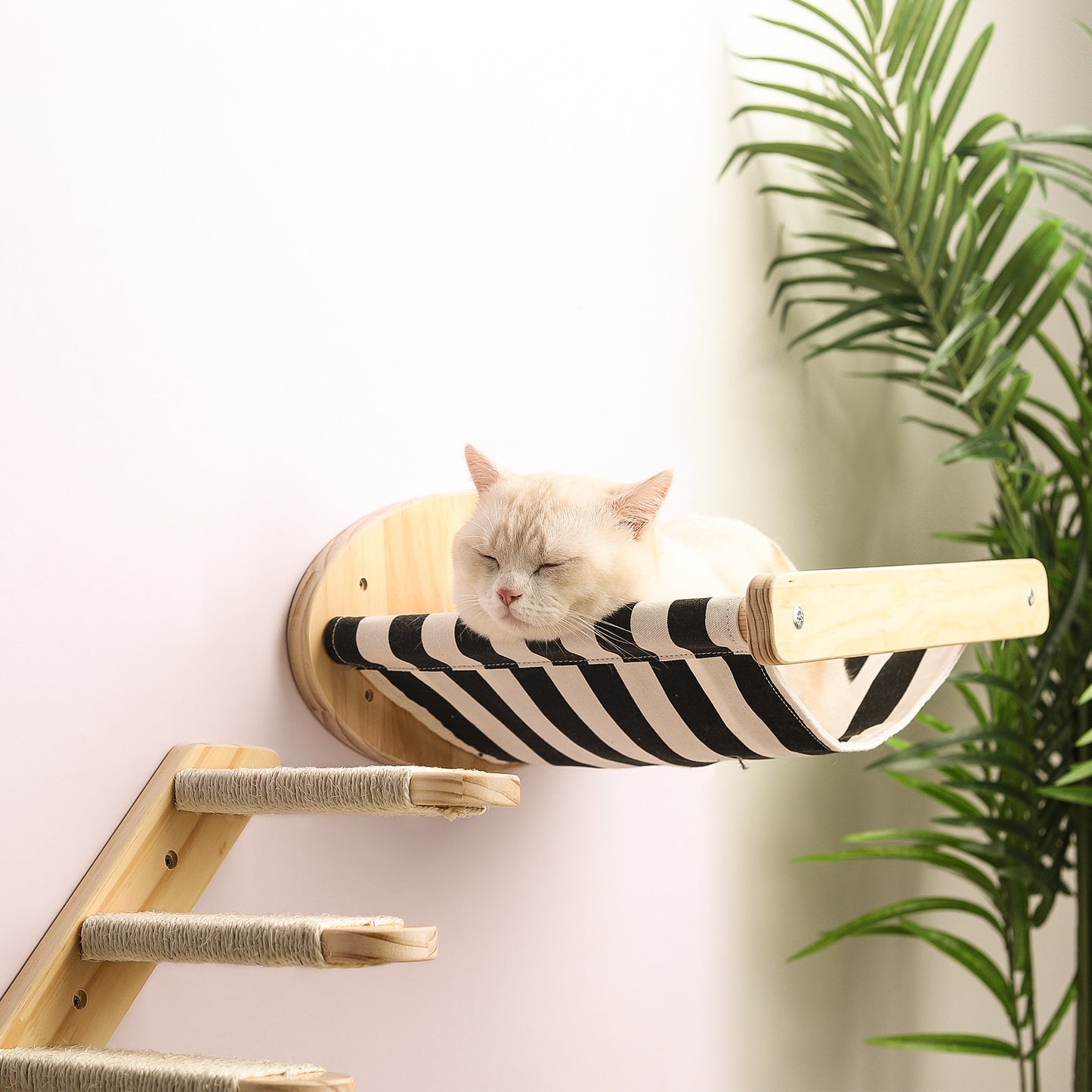 Pine Wood Cat Climbing Staircase Frame Wall Hammock
