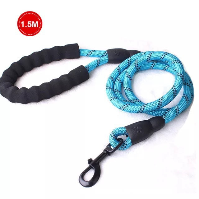 Small & Medium Sized Dog Luminous Leash